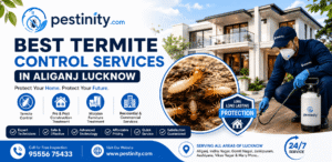 Pest Control Services in Aliganj Lucknow | Termite, Cockroach & Rodent Control