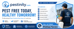 Pest Control Services in Lucknow – Complete Guide to Protect Your Home & Business