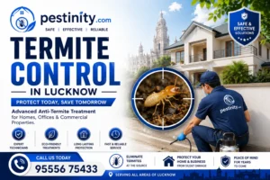 Termite Control in Lucknow – Signs, Treatment, Cost & Prevention Guide