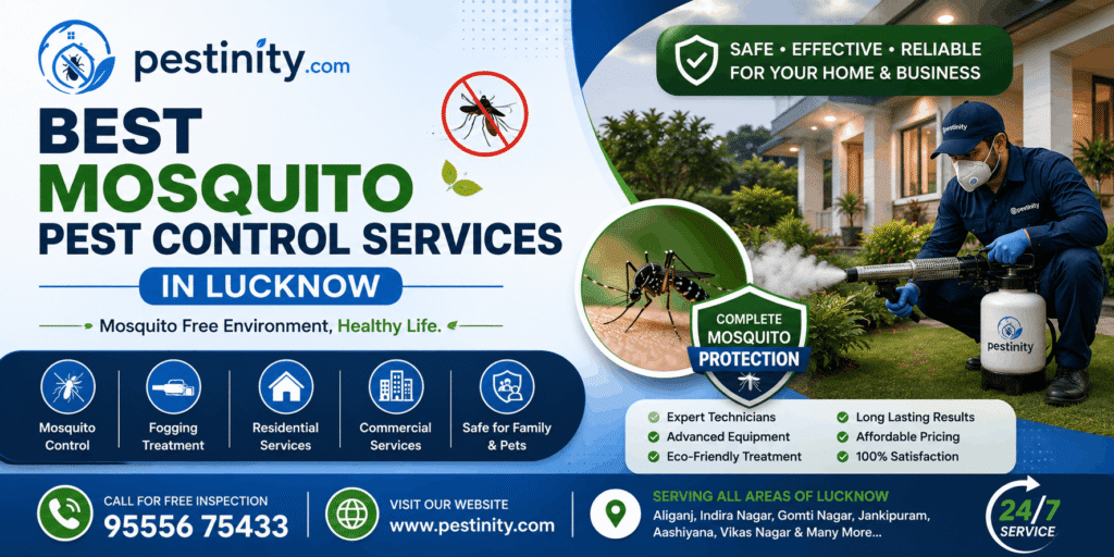 Best Mosquito Pest Control Services in Lucknow