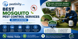 Best Mosquito Pest Control Services in Lucknow | Pestinity
