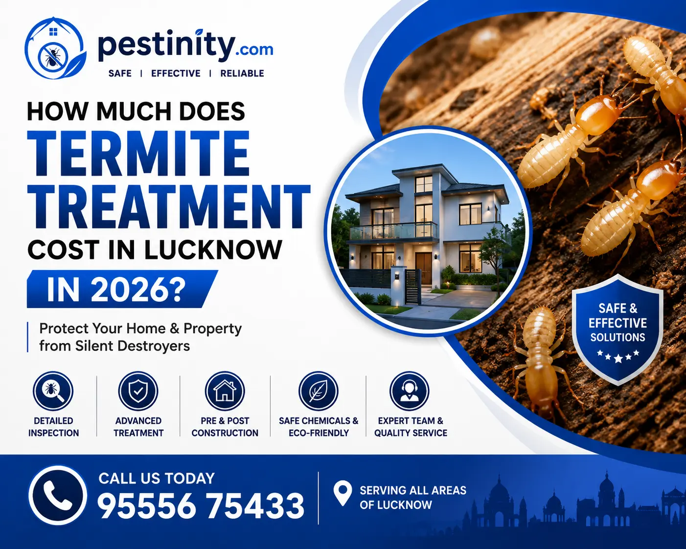 Termite Treatment Cost in Lucknow